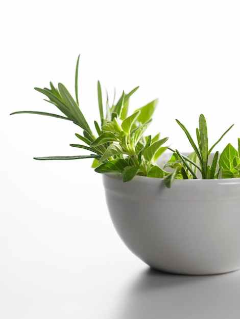 Miska čerstvých byliniek